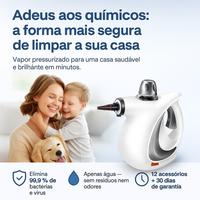 Máquina de limpeza a vapor de alta pressão tudo-em-um